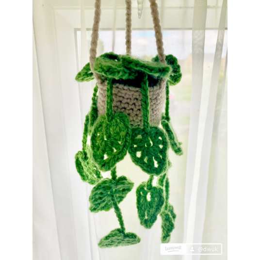 Hanging Plant