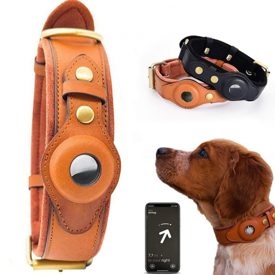 Leather AntiLost Dog Collar