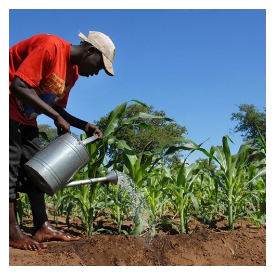 Climate Smart Farming Tools