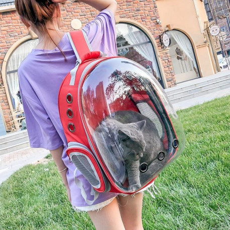 Portable Pet Cat Dog Puppy Space Backpack Carrier Bubble Transparent Sightseeing Space Capsule Design Backpack