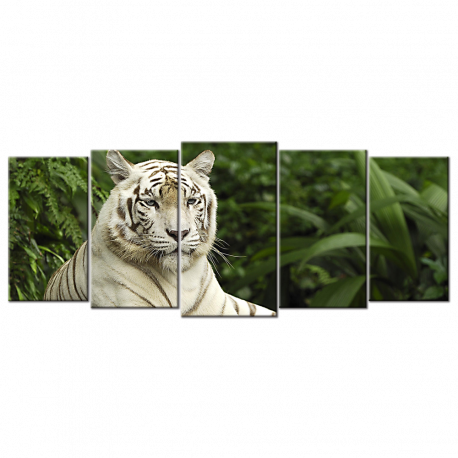 Singapore Tigris Panthera Tiger  - 5 panels L