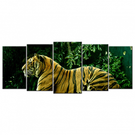 Tiger - 5 panels