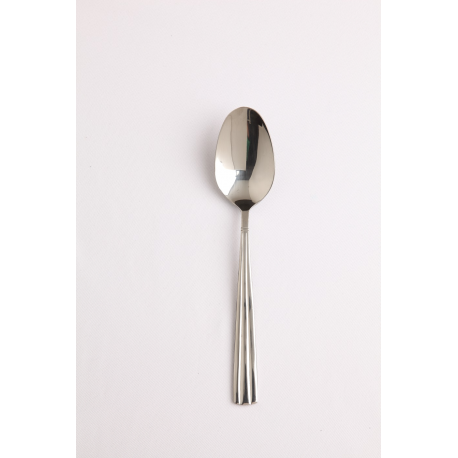 Nova Dinner Spoon