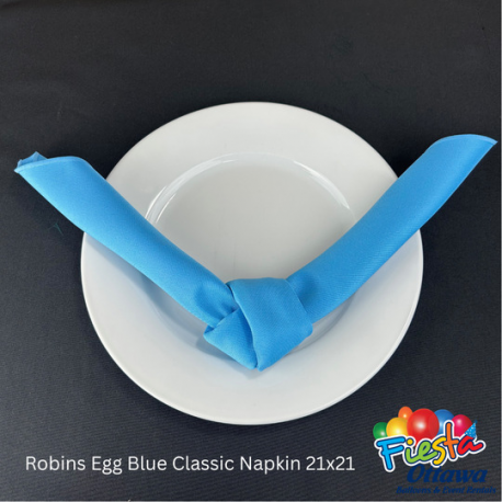 Napkin Robins Egg Blue Classic 21x21 inches