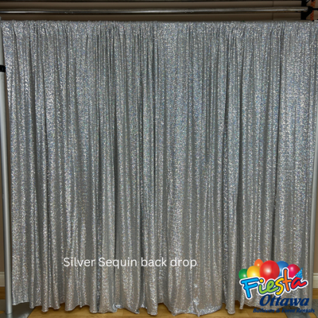 Backdrop Panel - Silver Sequin - 7.5-8 feet long