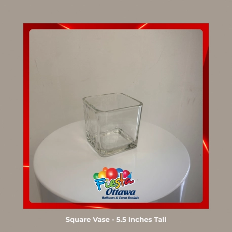 Square Glass Vase - 6 inches high - 5.5 inch diameter
