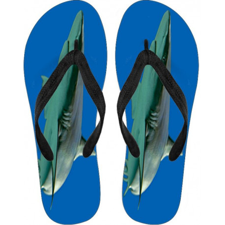 Shark Flip Flops