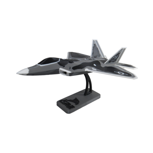 F-22 Raptor