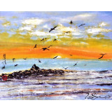 Seascapes "Freedom"