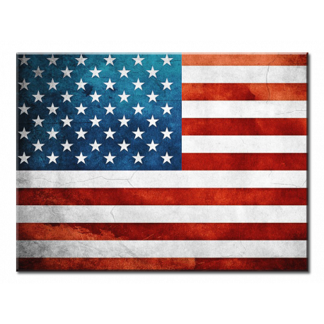 American Flag- 1 panel xl