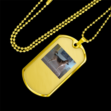 Guardian of the Couch (Gold Dog Tag)