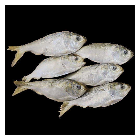 Freeze Dried Menhaden