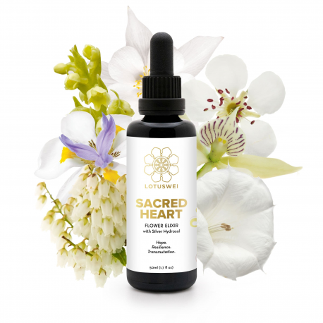 Sacred Heart Flower Elixir