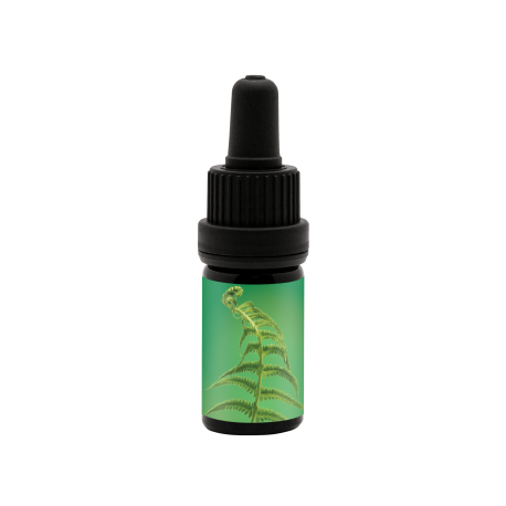 Inner Knowing Anointing Oil
