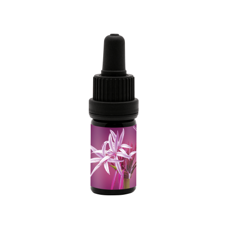 Game Changer Anointing Oil