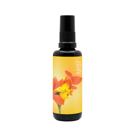 Inspired Action Aura Mist