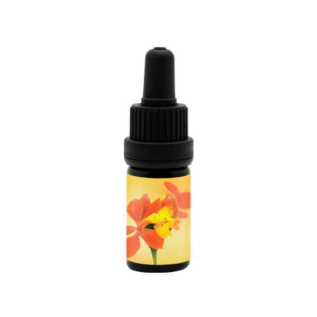 Inspired Action Anointing Oil