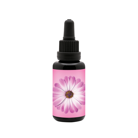 Joy Juice Elixir