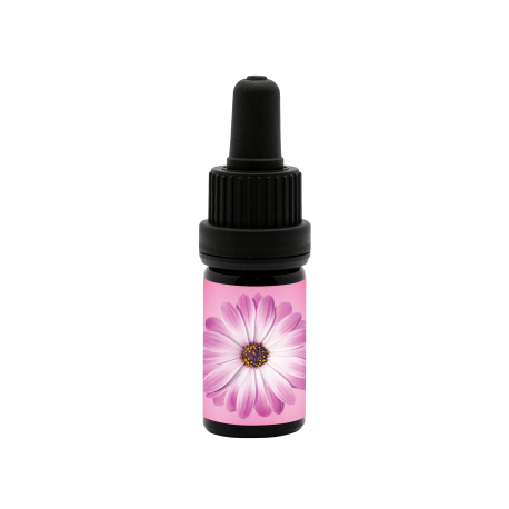 Joy Juice Anointing Oil
