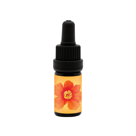 Radiant Energy Anointing Oil