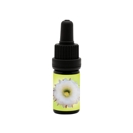 Full Bloom Anointing Oil