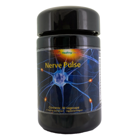 Nerve Pulse