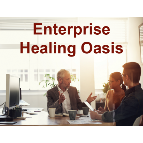 Enterprise Healing Oasis