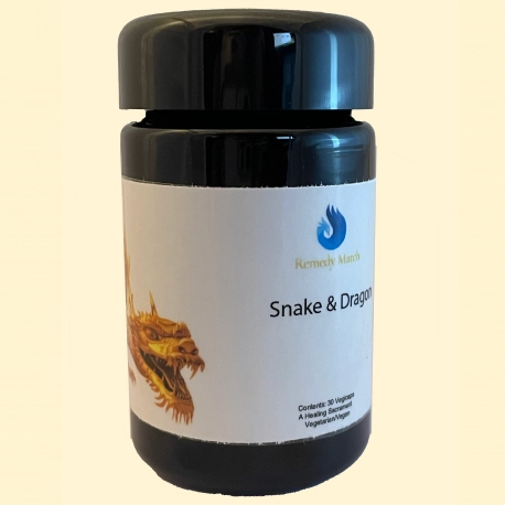 Snake & Dragon