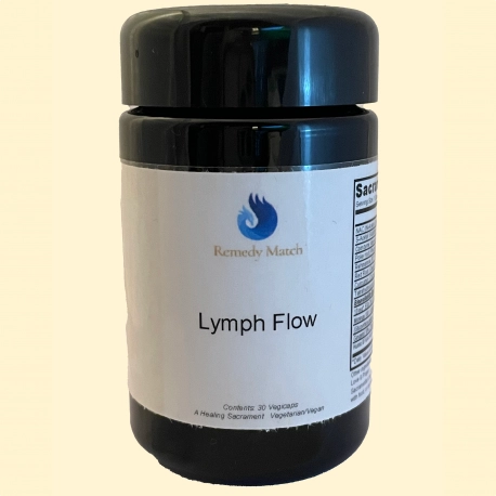Lymph Flow