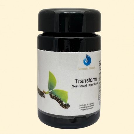 Transform
