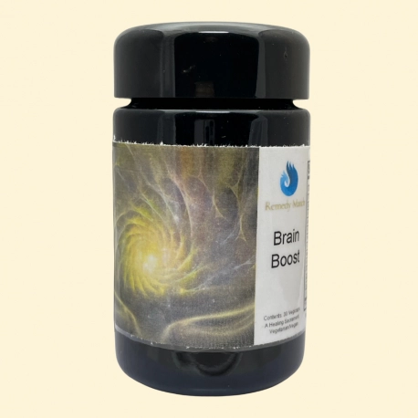 Brain Boost