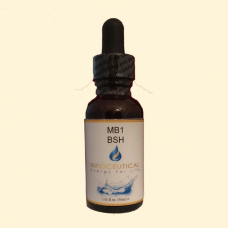 MB1 BSH