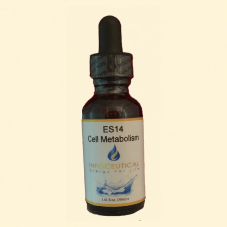 ES14 Cell Metabolism