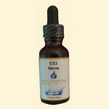 ES3 Nerve