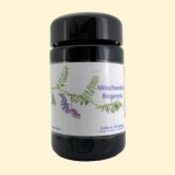 Mitochondrial Biogenesis