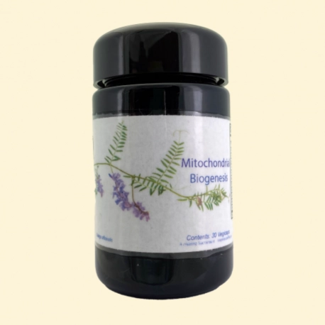 Mitochondrial Biogenesis