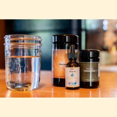 Wellness Ensurance Level 7