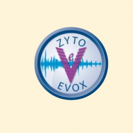 EVOX Perception Reframing Session