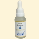 EI14 - Vision & Decisions