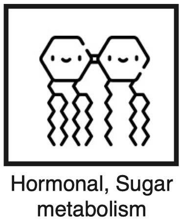 Sugar metabolism & Hormones