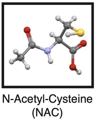 N-Acetyl-Cysteine (NAC)