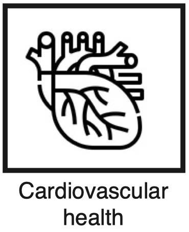 Cardiovascular health