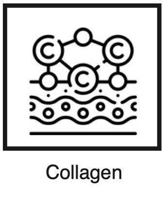 Collagen