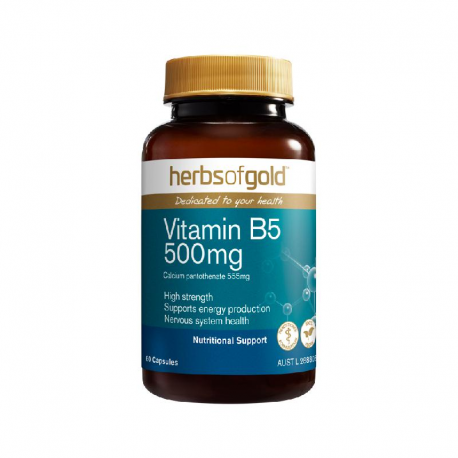 Vitamin B5 500mg 60 capsules