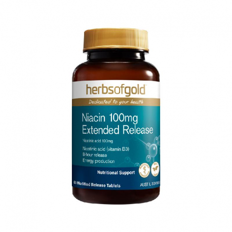 Niacin 100mg Extended Release 60 tablets
