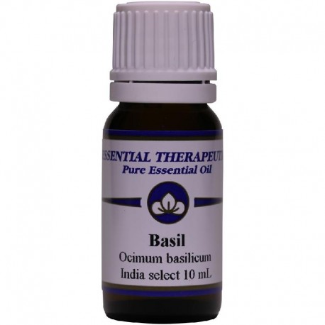 Essential Oil Basil 10ml