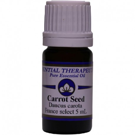 Essential Oil Carrot Seed 5ml