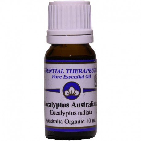 Essential Oil Eucalyptus Australiana Organic 10ml
