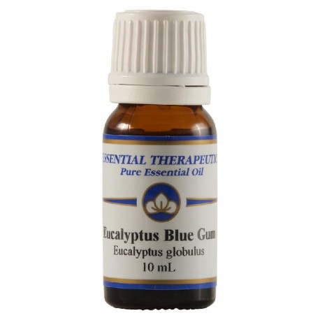 Essential Oil Eucalyptus Blue Gum 10ml