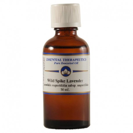 Essential Oil Wild Spike Lavender 50ml